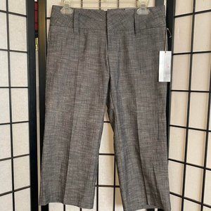 NWT Style that Works by Vanity Gray Shorts Capris Cropped Pants Size 3